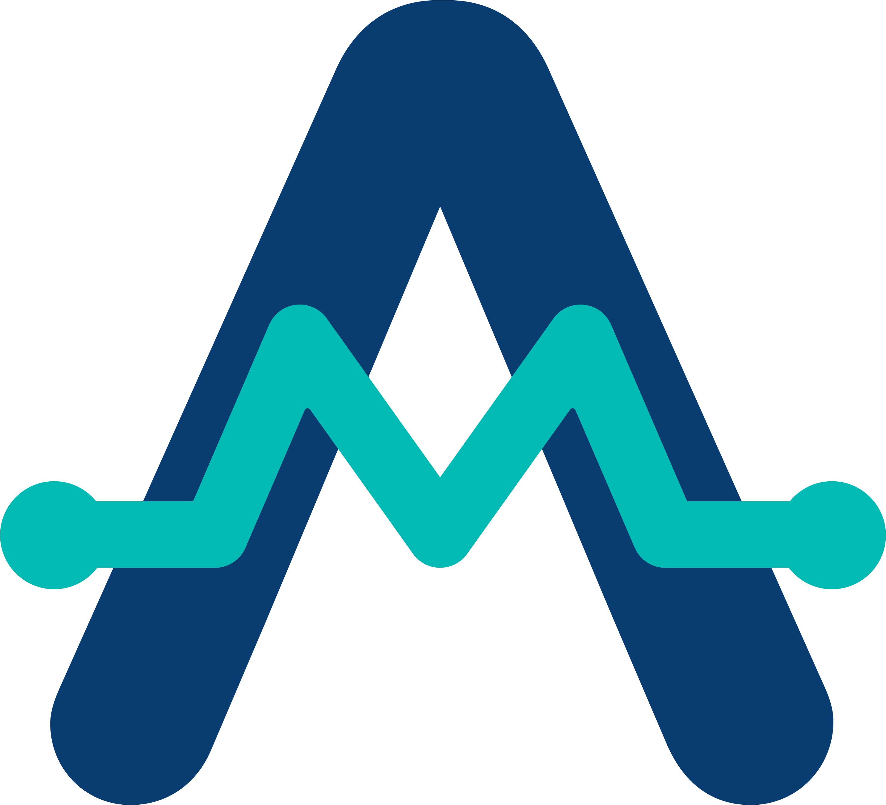 Logo Footer